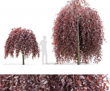 Modern Tree-ID:917862895