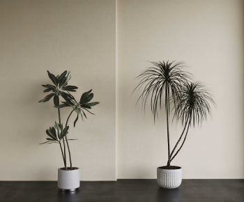 Modern Ground Green Plant Potted Plants-ID:911849982