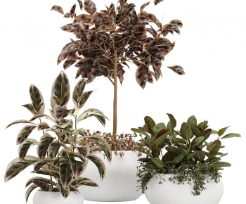 Modern Potted Green Plant-ID:850652936