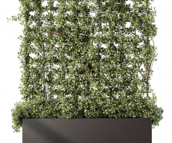 Modern Plant Wall-ID:793842085