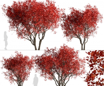 Modern Tree-ID:615046988