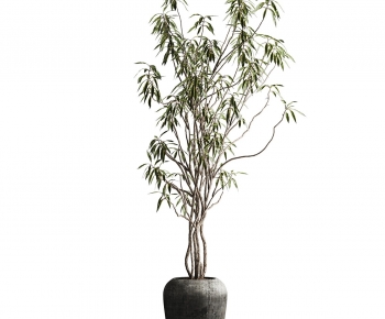 Modern Ground Green Plant Potted Plants-ID:863399985