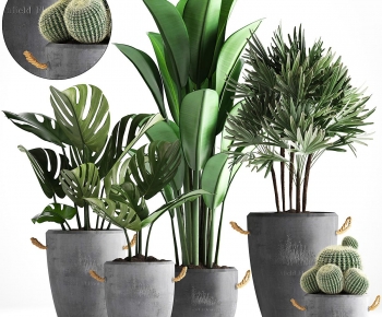 Modern Ground Green Plant Potted Plants-ID:397692926