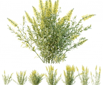 Modern Flowers And Grass-ID:282345065