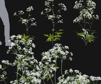 Modern Flowers And Grass-ID:335988042