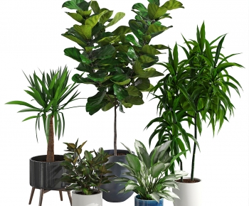 Modern Ground Green Plant Potted Plants-ID:668483023