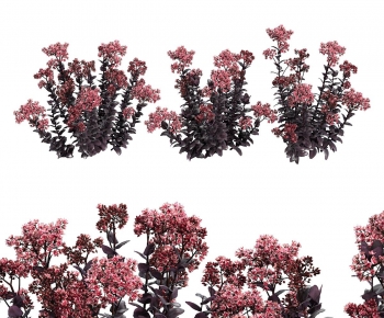 Modern Flowers And Grass-ID:899796014