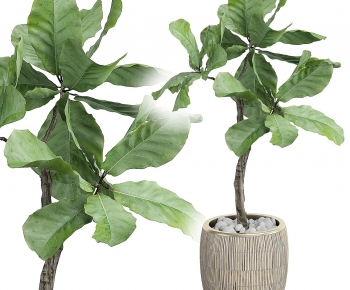 Modern Ground Green Plant Potted Plants-ID:580300093
