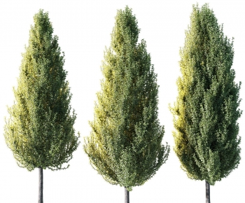 Modern Tree-ID:341320085