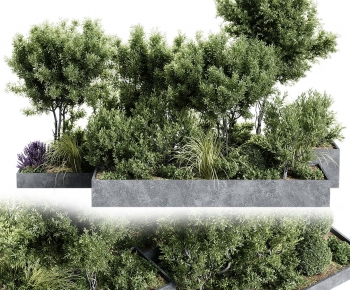 Modern Shrubbery-ID:172607904