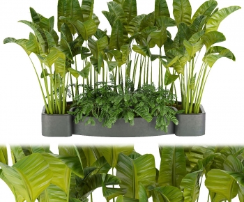 Modern Flower Bed, Flower Bowl, Flower Box-ID:402265071