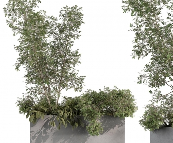 Modern Flower Bed, Flower Bowl, Flower Box-ID:847316988