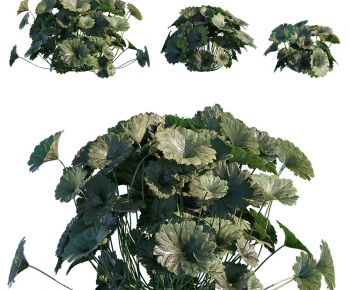 Modern Flowers And Grass-ID:433466917