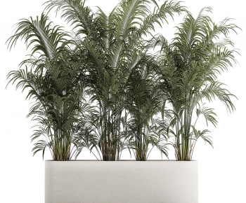 Modern Flower Bed, Flower Bowl, Flower Box-ID:176275018