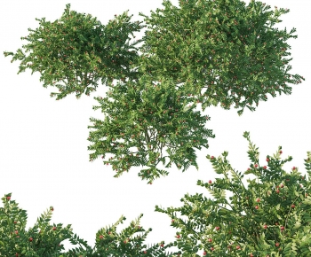 Modern Flowers And Grass-ID:179667959