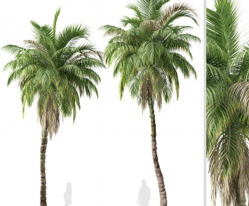 Modern Tree-ID:675982009