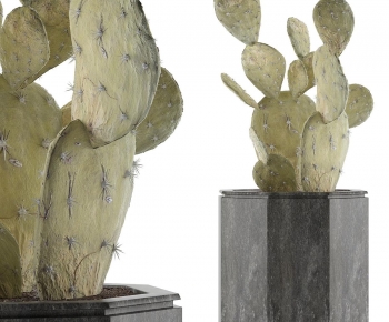 Modern Potted Green Plant-ID:805609941