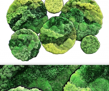 Modern Plant Wall-ID:432168019