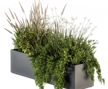 Modern Flower Bed, Flower Bowl, Flower Box-ID:498187076