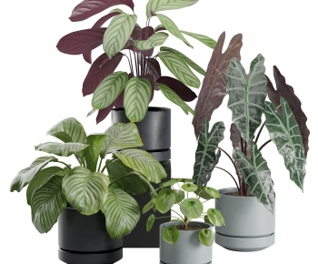 Modern Ground Green Plant Potted Plants-ID:550170908