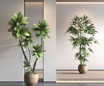 Modern Ground Green Plant Potted Plants-ID:237209852