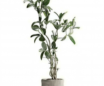 Modern Ground Green Plant Potted Plants-ID:491456994