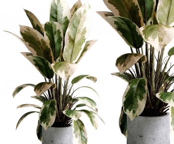 Modern Ground Green Plant Potted Plants-ID:690690996