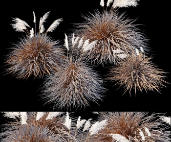 Modern The Grass-ID:855684041