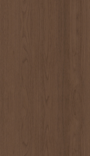 ModernWood Texture