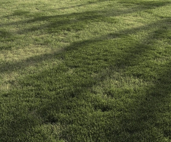 Modern The Grass-ID:347253083