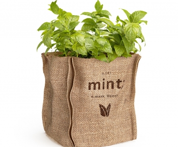 Modern Crop-ID:678112033