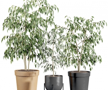 Modern Ground Green Plant Potted Plants-ID:931329973