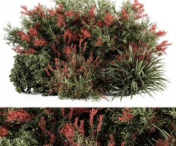 Modern Shrubbery-ID:151489975