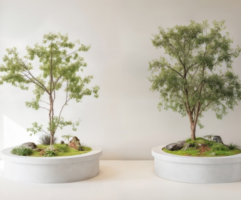 Modern Flower Bed, Flower Bowl, Flower Box-ID:642627005