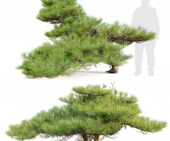 Modern Tree-ID:942590954