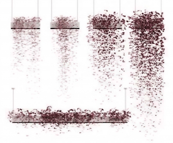 Modern Chlorophytum Comosum-ID:496929889