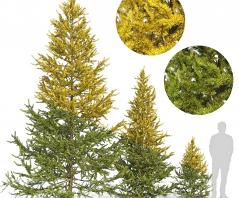 Modern Tree-ID:780998956