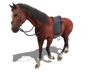 Modern Mammal-ID:428035021