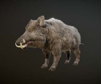 Modern Animal-ID:575421097