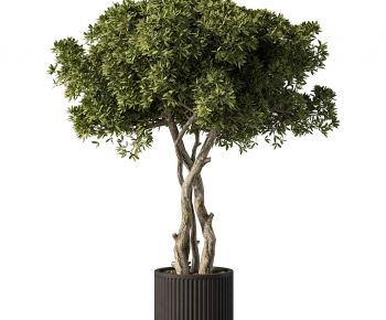 Modern Ground Green Plant Potted Plants-ID:831038002