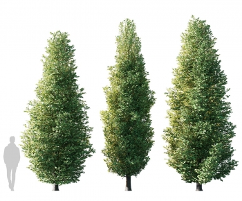 Modern Tree-ID:915730032