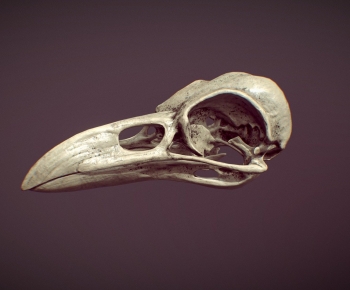 Modern Animal-ID:270158053