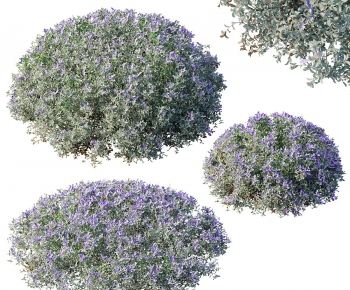 Modern Shrubbery-ID:836728105