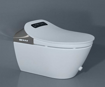 Modern Toilet-ID:389009009