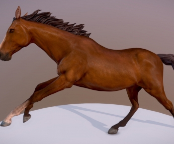 Modern Mammal-ID:157031064