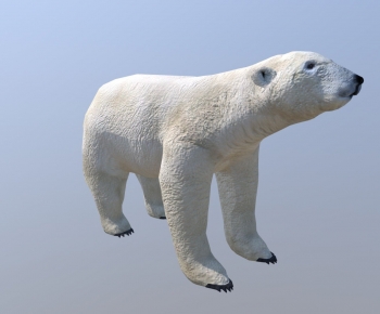 Modern Animal-ID:648966071