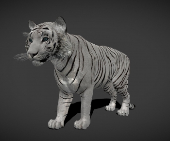 Modern Animal-ID:567218071