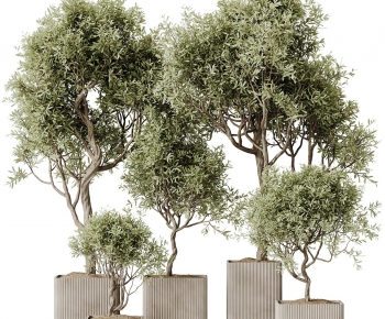 Modern Ground Green Plant Potted Plants-ID:539879087