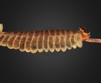 Modern Animal-ID:103877072