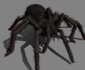 Modern Animal-ID:346354017